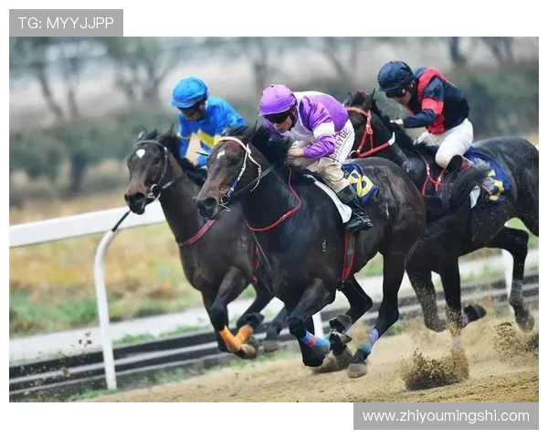 一赛马资讯全方位报道，深入了解澳门赛马的精彩赛事与赛马技巧