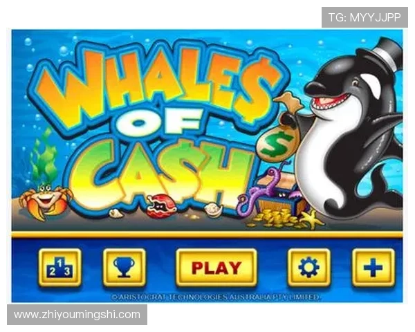 最新角子机游戏单机版免费下载与安装指南