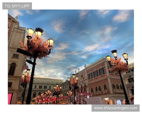 澳门威尼斯人网站为玩家打造一站式娱乐平台,涵盖多种热门博彩游戏选择 澳门威尼斯人网站为玩家打造一站式娱乐平台,涵盖多种热门博彩游戏选择