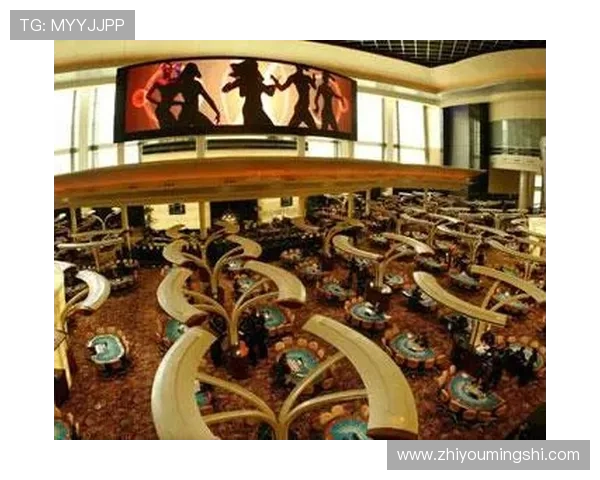 澳门新濠天地娱乐场：享受世界一流的博彩娱乐与豪华休闲设施的理想场所